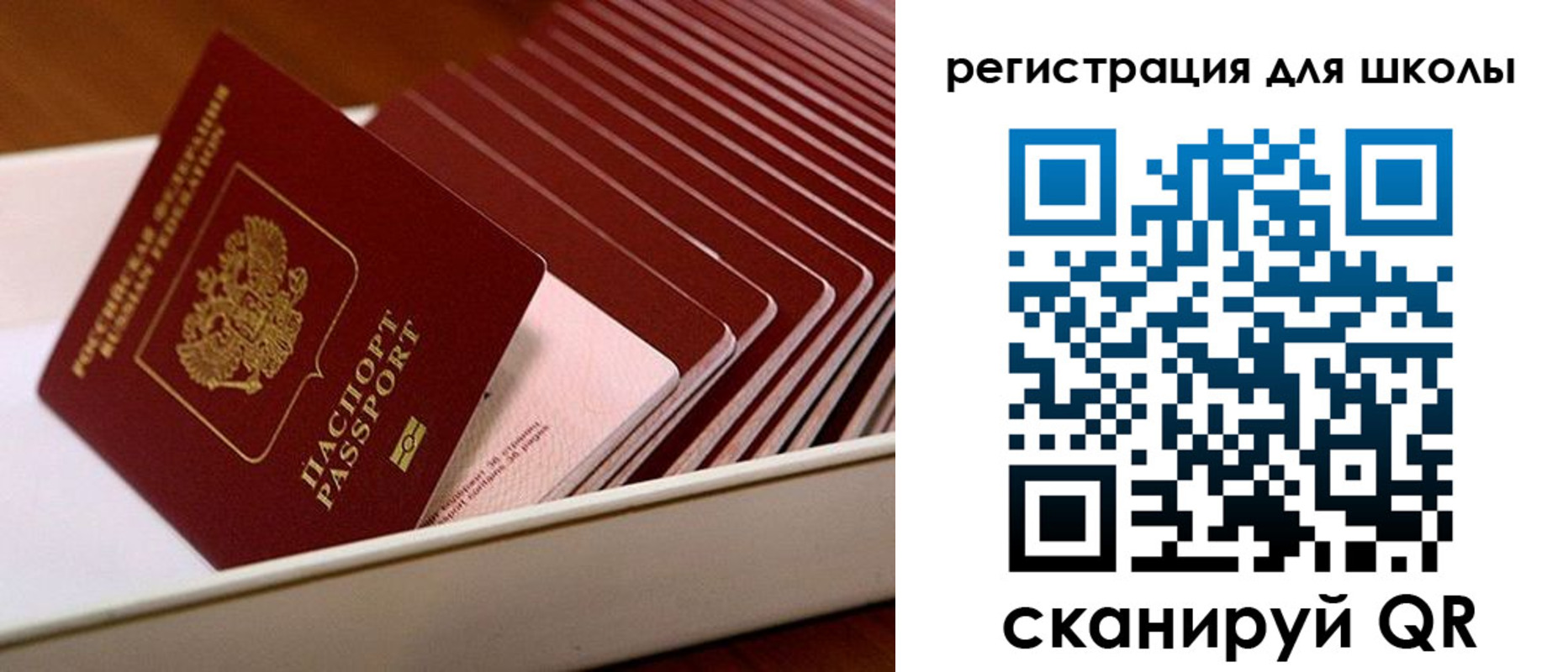 прописка гарантия в Собинке